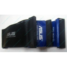 IDE шлейф UDMA-33 в Нижнем Новгороде, IDE кабель ATA-33 (Нижний Новгород)