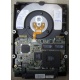 Жесткий диск 18.2Gb IBM Ultrastar DDYS-T18350 Ultra3 SCSI (Нижний Новгород)
