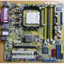 Материнская плата Asus M2NPV-VM socket AM2 (без задней планки-заглушки) - Нижний Новгород