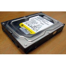 Жесткий диск 160Gb WD WD1602ABKS SATA (Нижний Новгород)