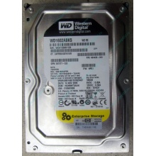 Жесткий диск 160Gb WD WD1602ABKS SATA (Нижний Новгород)