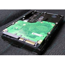 Жесткий диск 600Gb 15k Dell 9FN066-008 6G SAS ( Seagate Cheetach ST3600057SS 15K.7) - Нижний Новгород