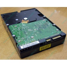 Б/У жёсткий диск 400Gb WD WD4000YR Caviar RE2 7200 rpm SATA  (Нижний Новгород)