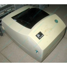 Термопринтер Zebra TLP 2844 (слегка пробита крышка в Нижнем Новгороде, без БП!) - Нижний Новгород