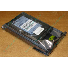 Жёсткий диск 146.8Gb HP 365695-008 404708-001 BD14689BB9 256716-B22 MAW3147NC 10000 rpm Ultra320 Wide SCSI купить в Нижнем Новгороде, цена (Нижний Новгород).