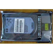 HDD 146.8Gb HP 360205-022 404708-001 404670-002 3R-A6404-AA 8D1468A4C5 ST3146707LC 10000 rpm Ultra320 Wide SCSI купить в Нижнем Новгороде, цена (Нижний Новгород)