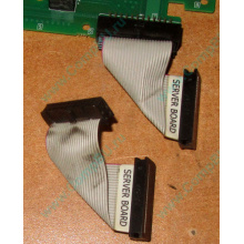 6017B0045701 Шлейф 24 pin для Intel C74974-401 T0043401-B01 корпуса SR2400 (Нижний Новгород)