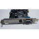 NV18-3710D 64Mb nVidia GeForce4 MX440 AGP 8x (Нижний Новгород)