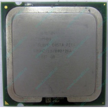 Процессор Intel Pentium-4 521 (2.8GHz /1Mb /800MHz /HT) SL8PP s.775 (Нижний Новгород)