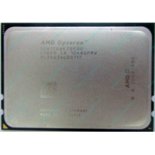 AMD Opteron 6128 OS6128WKT8EGO (Нижний Новгород)