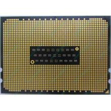 AMD Opteron 6128 OS6128WKT8EGO (Нижний Новгород)